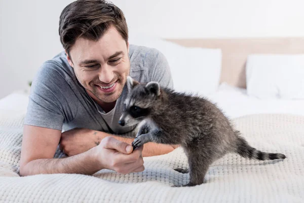 Handsome man playing with funny raccoon on bedding at home — Stock Photo