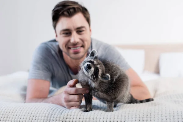Selective focus of funny raccoon on bedding with cheerful man — Stock Photo