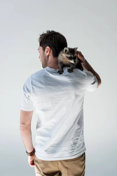 Rückansicht von Mann im weißen T-Shirt mit entzückendem Waschbär auf Schulter auf grau — Stockfoto