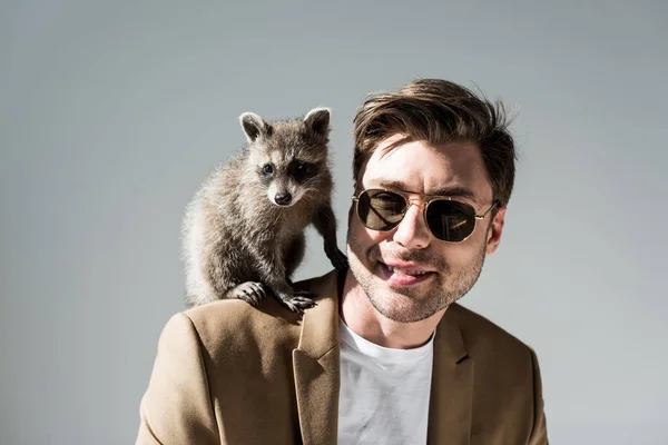 Smiling man in sunglasses with cute raccoon on shoulder on grey — Stock Photo