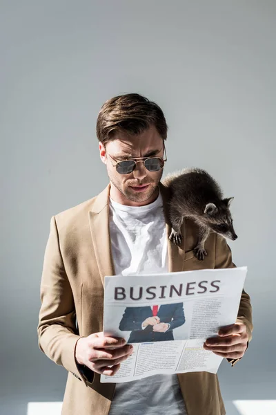 Концентрований чоловік зі смішним єнотом на плечі читання бізнес-газети — стокове фото