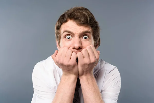 Stressed and scared businessman with funny face expression on grey background — Stock Photo