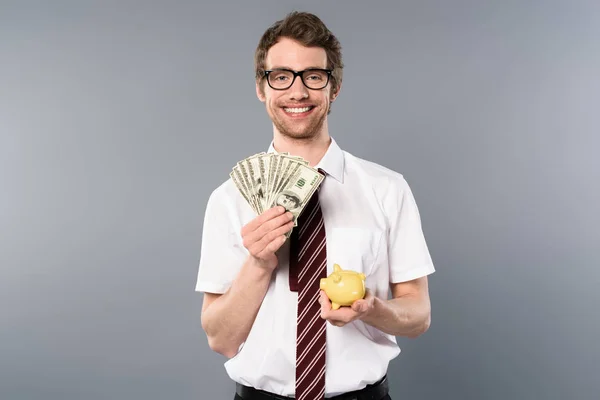 Smiling businessman in glasses holding piggy bank and dollar banknotes on grey background — Stock Photo