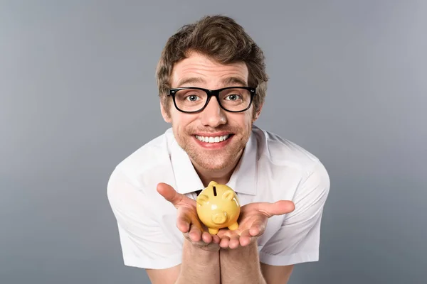Sorridente empresário em óculos segurando porquinho banco no fundo cinza — Fotografia de Stock
