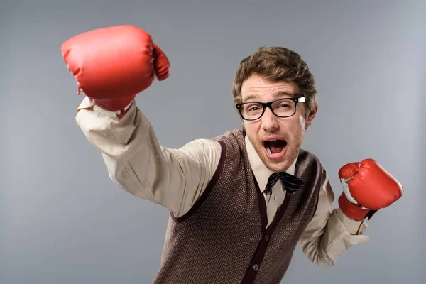 Hombre divertido en gafas y guantes de boxeo gritando sobre fondo gris - foto de stock