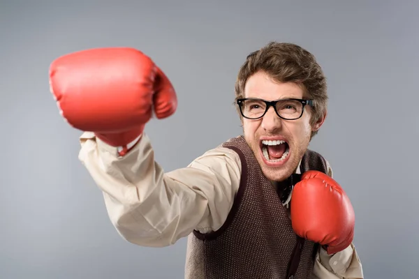 Hombre enojado en gafas y guantes de boxeo gritando sobre fondo gris - foto de stock