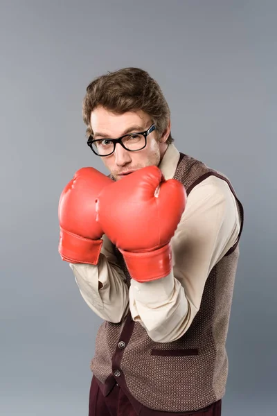 Серйозна людина в окулярах і бокс позує на сірому фоні — стокове фото