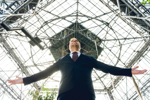 Vista de ángulo bajo del hombre de negocios alegre con las manos extendidas en invernadero - foto de stock