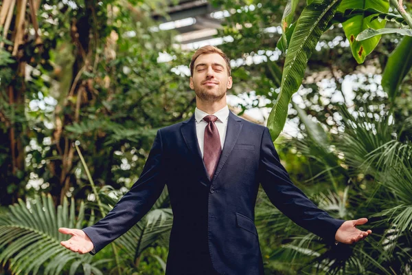 Homme d'affaires joyeux avec les yeux fermés et les mains tendues debout dans la serre — Photo de stock