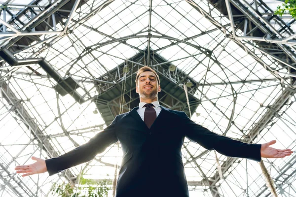 Vista de ángulo bajo del hombre de negocios alegre con las manos extendidas de pie en invernadero - foto de stock