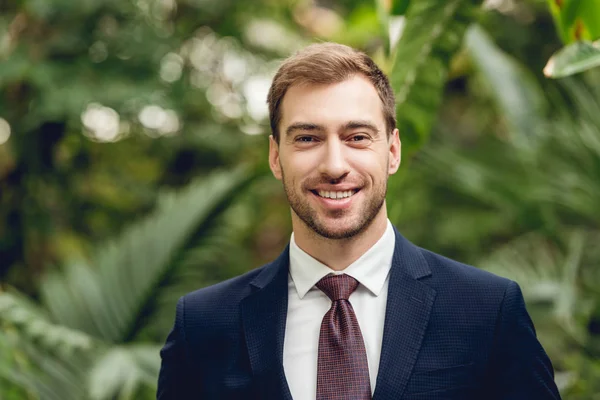 Happy smiling businessman in suit and tie in orangery — Stock Photo