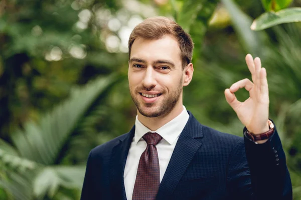 Glücklich lächelnder Geschäftsmann in Anzug und Krawatte zeigt Okay-Zeichen in Orangerie — Stockfoto