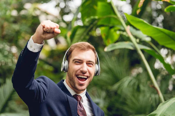 Hombre de negocios feliz en traje y auriculares inalámbricos que muestran sí gesto en invernadero - foto de stock
