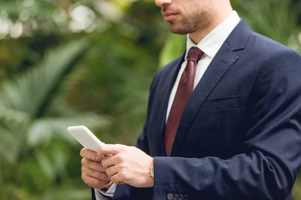 Vista recortada del hombre de negocios en traje usando smartphone en invernadero - foto de stock