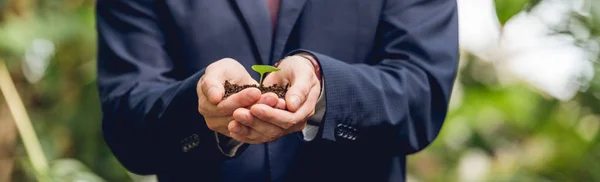 Cropped view of businessman in suit holding green sprout and ground in hands in orangery — Stock Photo