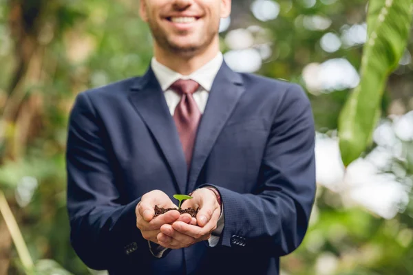Vue partielle de l'homme d'affaires souriant en costume et cravate tenant le germe vert et le sol dans les mains en orangerie — Photo de stock