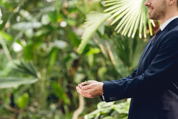 Cropped view of smiling businessman in suit and tie holding green sprout and ground in hands in orangery — Stock Photo