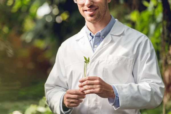 Cropped view of happy scientist in white coat and goggles holding flask with plant sample in orangery — Stock Photo