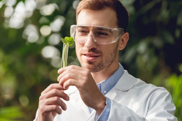 Smiling handsome scientist in white coat and goggles holding flask with plant sample in orangery — Stock Photo