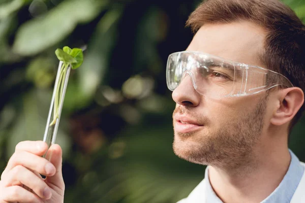 Smiling scientist in white coat and goggles looking at flask with plant sample in orangery — Stock Photo
