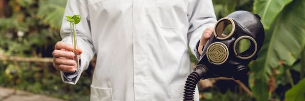 Cropped view of scientist in white coat holding rubber gas mask and flask with plant sample in orangery — Stock Photo