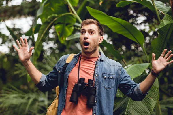 Beau voyageur effrayé et choqué avec jumelles et sac à dos dans la forêt tropicale verte — Photo de stock