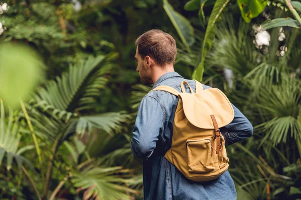 Traveler with backpack walking  in green tropical forest — Stock Photo