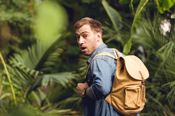 Селективный фокус шокированного путешественника с рюкзаком ходьба в зеленом тропическом лесу — стоковое фото