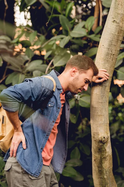 Painful traveler with backpack and backache standing near tree trunk in tropical forest — Stock Photo