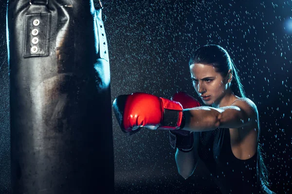 Strong boxer in red boxing gloves training under water drops on black — Stock Photo
