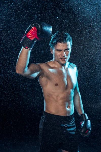 Lächelnder Boxer steht mit erhobener Hand unter Wassertropfen auf schwarz — Stockfoto