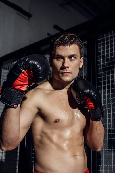 Pensive boxer em luvas de boxe preto com as mãos para cima olhando para longe — Fotografia de Stock