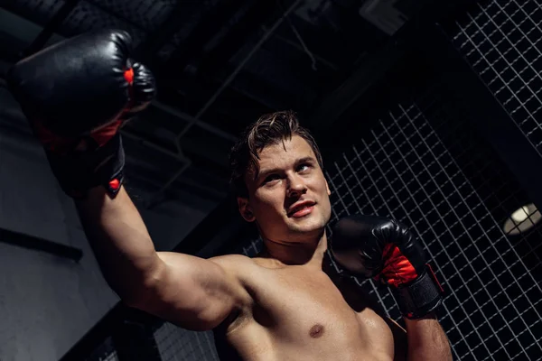 Low angle view of boxer in boxing gloves training and looking away — Stock Photo