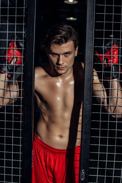 Handsome muscular boxer in boxing gloves standing near wire netting and looking at camera — Stock Photo