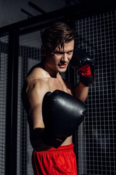 Guapo boxeador en guantes de boxeo negro entrenando con sonrisa - foto de stock