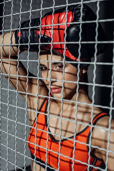 Attractive boxer standing behind wire netting and looking at camera — Stock Photo