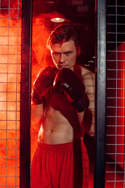 Boxer bonito em luvas de boxe em pé perto de rede de arame e olhando para a câmera — Fotografia de Stock