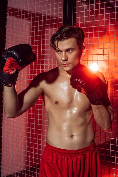Boxer bonito em luvas de boxe de pé perto de rede de arame e olhando para longe — Fotografia de Stock
