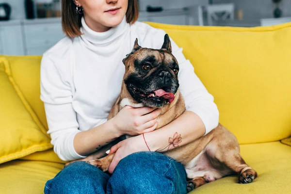 Vista recortada de la mujer con tatuaje en la mano abrazando lindo bulldog francés mientras está sentado en el sofá - foto de stock