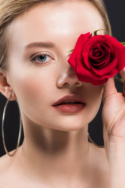 Enfoque selectivo de atractiva mujer joven sosteniendo rosa roja aislado en negro - foto de stock