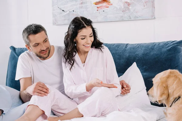 Felice donna bruna gesticolando vicino all'uomo mentre guardava l'animale domestico — Foto stock