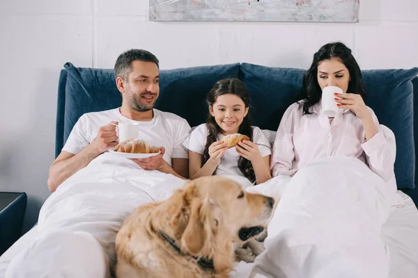 Selective focus of happy kid looking at dog lying on bed near parents with cups — Stock Photo