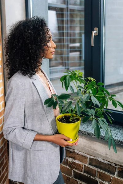 African american Casual businesswoman holding flowerpot with plant in loft office — Stock Photo