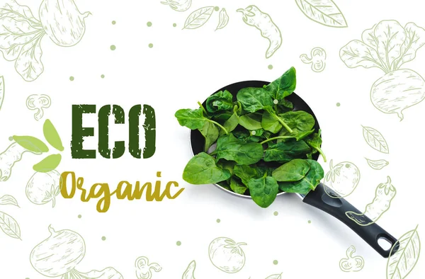 Green fresh spinach leaves in frying pan on white background with eco organic lettering — Stock Photo