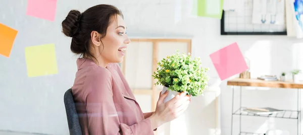 Panoramic shot of excited young woman holding plant with green leaves — Stock Photo