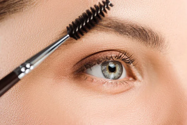 Cropped view of woman holding eyebrow brush near eyebrow — Stock Photo