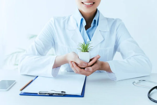 Vista parcial del médico latino sonriente sosteniendo planta en maceta mientras está sentado en el lugar de trabajo en la clínica - foto de stock