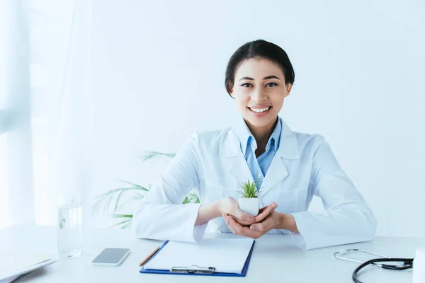 Atractivo médico latino sosteniendo planta en maceta mientras está sentado en el lugar de trabajo y sonriendo a la cámara - foto de stock