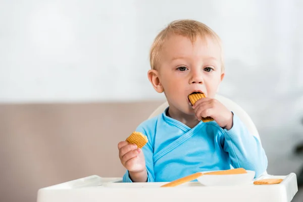 Милый малыш сидит в кресле для кормления и ест сладкое печенье дома — стоковое фото