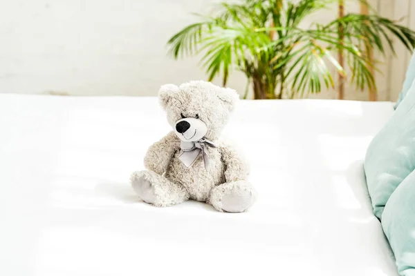 Oso de peluche gris cerca de almohadas azules en ropa de cama blanca en casa - foto de stock